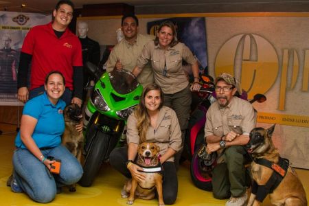 Exhibición de “PERROS GUARDAESPALDAS”