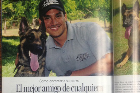 Artículo CÓMO ENCANTAR A SU PERRO, EL MEJOR AMIGO DE CUALQUIERA